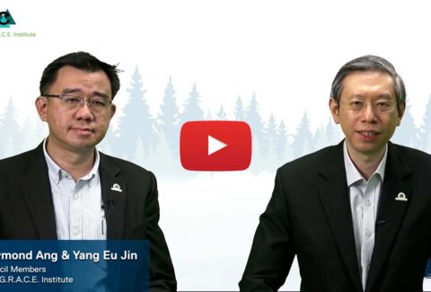 A Year of Rejuvenation and Re-Invigoration