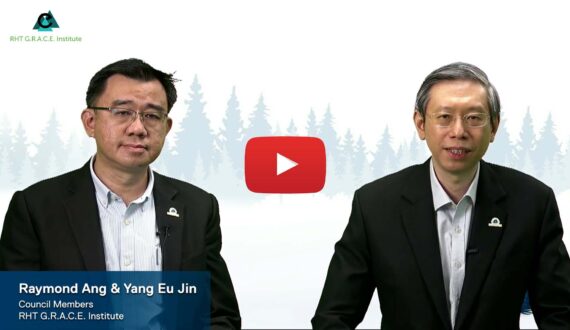 A Year of Rejuvenation and Re-Invigoration